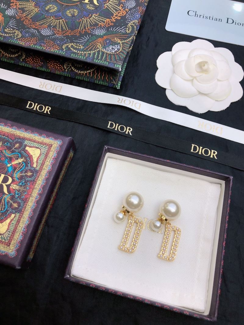 Christian Dior Earrings